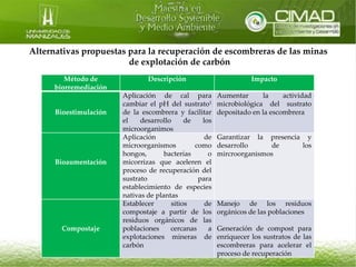 Biorremediación de suelos | PPTX