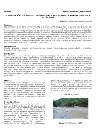 MDSMA Módulo: Biotecnología Ambiental
BIORREMEDIACIÓN PARA CONTROLAR CONTAMINACIÓN POR METALES PESADOS Y CIANURO, EN LA SUBCUENCA
DEL RÍO SURATÁ
Autor: Lady Johanna Bohórquez Sandoval
Resumen:
Los metales pesados como el mercurio (Hg) y el arsénico (As) al igual que el cianuro, son los principales
problemas de contaminación en el Río Suratá, producidos por la extracción artesanal de oro en la región y en
donde se pretende realizar megaminería del mismo metal. Con el presente trabajo, se pretende dar a conocer
estrategias de biorremediación para solventar la situación, con mecanismos que van desde la biodegradación
enzimática con Biorreactores, como bioacumulación o la rizofiltración, usando microorganismos como hongos y
bacterias junto con algas (Microalgas y macroalgas), aprovechando su alta adaptabilidad en medios que para
otras especies son tóxicos, los cuales pueden también ser modificados genéticamente para hacer más
específica su acción. Además propender por soluciones de bajo costo que sean eficientes en los procesos de
descontaminación y restauración del componente hídrico.
Palabras clave:
Metales pesados, cianuro, contaminación de aguas, biorremediación, biodegradación enzimática,
bioacumulación, rizofiltración.
Introducción:
La contaminación de fuentes de agua por metales pesados (Hg y As) y cianuro, ha estado ligada a la minería
aurífera. En Colombia, este tipo de minería se ha incrementado con el pasar de los años, pues se han establecido
varios territorios de alto potencial aurífero, lo malo es que quedan en zonas de importancia ecológica para el
país. De este tipo de actividad económica, dependen muchas familias al practicarla de manera artesanal, lo
que ocasiona que al prohibirla se acabe el sustento para ellas. Así mismo, en el caso de Santander se han
establecido los impactos ambientales que surgen por la actividad minera, es el caso de (Wolff Carreño E. , 2001)
que señala los principales problemas de contaminación de las aguas del Río Suratá, por la presencia de metales
pesados y cianuro que afectan la salud humana y los procesos de los servicios ambientales que presta el Río
Suratá, como surtidor de agua del Acueducto Metropolitano de Bucaramanga. Por lo tanto, se plantean
estrategias de biorremediación, para solventar los problemas que se presentarían si aprobaran la megaminería
en la región.
Método:
Se realizó una revisión bibliográfica del problema de
contaminación por metales pesados y cianuro en la
Subcuenca del Río Suratá; así como de los métodos
que se utilizan en la biorremediación de las fuentes
de agua por la presencia de este tipo de materiales,
para proyectar soluciones de recuperación de este
Río y reducir sus implicaciones en la salud de los seres
humanos y los impactos ambientales en el factor
agua.
Desarrollo del tema:
Localización: La subcuenca del río Suratá forma
parte de la Cuenca superior del Río Lebrija, posee
una extensión total de 68.461 ha (CDMB, 2005), se
encuentra localizado en el departamento de
Santander y ayuda a surtir de agua al sistema actual
del acueducto del Área Metropolitana de
Bucaramanga. El rendimiento hídrico de la
subcuenca se considera bajo lo que genera que no
existan problemas de cantidad de agua, pero sí
presenta problemas en su calidad debido a la
contaminación por sedimentos de explotaciones
artesanales auríferas que se realizan en la parte alta
de la subcuenca (con la proyección a realizar
minería a gran escala por medio de
Multinacionales), especialmente en la microcuenca
del Río Vetas que hace parte de la subcuenca del
Río Suratá (CDMB, 2005).
Figura 1: Río Suratá
Fuente: (Wolff Carreño E. , 2001)
 