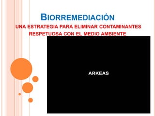 BIORREMEDIACIÓN
UNA ESTRATEGIA PARA ELIMINAR CONTAMINANTES
    RESPETUOSA CON EL MEDIO AMBIENTE
 