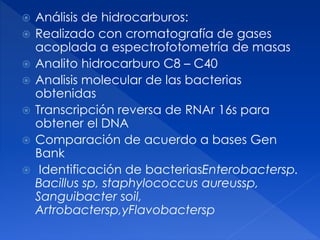  Análisis de hidrocarburos:
 Realizado con cromatografía de gases
acoplada a espectrofotometría de masas
 Analito hidrocarburo C8 – C40
 Analisis molecular de las bacterias
obtenidas
 Transcripción reversa de RNAr 16s para
obtener el DNA
 Comparación de acuerdo a bases Gen
Bank
 Identificación de bacteriasEnterobactersp.
Bacillus sp, staphylococcus aureussp,
Sanguibacter soil,
Artrobactersp,yFlavobactersp
 