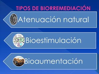 Atenuación natural
Bioestimulación
Bioaumentación
 