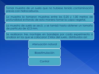 Tomar muestra de un suelo que no hubiese tenido contaminación
previa con hidrocarburos.
La muestra la tomaron muestras entre los 0.25 y 1.00 metros de
profundidad evitando de esta manera tomar la capa vegetal.
La muestra de suelo se secó, y se tamizó hasta obtener un tamaño
de partícula de ±2.3 mm.
Se realizaron tres montajes en bandejas por cada experimento a
analizar en los que se colocaron 2 kilos del suelo, distribuidos así:
Atenuación natural
Bioestimulación
Control
 