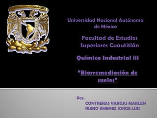 Por:
CONTRERAS VARGAS MARLEN
RUBIO JIMENEZ JORGE LUIS
Universidad Nacional Autónoma
de México
Facultad de Estudios
Superiores Cuautitlán
 
