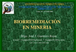 Biorremediacion2004 Bio Jjgr