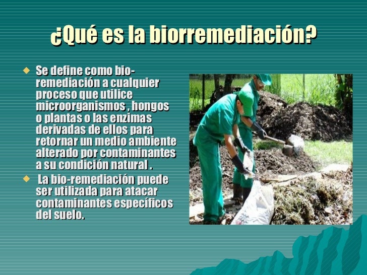 Biorremediación 3º2º 2011