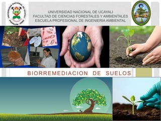 BIORREMEDIACION DE SUELOS
UNIVERSIDAD NACIONAL DE UCAYALI
FACULTAD DE CIENCIAS FORESTALES Y AMBIENTALES
ESCUELA PROFESIONAL DE INGENIERIA AMBIENTAL
 