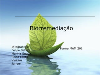 Biorremediação Integrantes: Felipe Batista Marina Gogoy Raísa Costa Vinícius Junger Turma MAM 261 