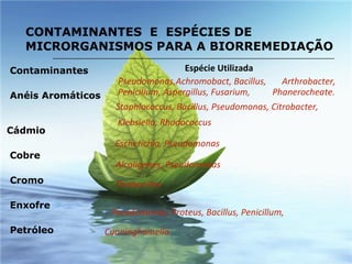 CONTAMINANTES  E  ESPÉCIES DE MICRORGANISMOS PARA A BIORREMEDIAÇÃO Contaminantes  Anéis Aromáticos  Cádmio Cobre Cromo Enxofre Petróleo  Espécie Utilizada   Pseudomonas,Achromobact, Bacillus,  Arthrobacter, Penicillum, Aspergillus, Fusarium,  Phanerocheate. Staphlococcus, Bacillus, Pseudomonas, Citrobacter, Klebsiella, Rhodococcus   Escherichia, Pseudomonas   Alcaligenes, Pseudomonas   Thiobacillus   Pseudomonas, Proteus, Bacillus, Penicillum,  Cunninghamella   