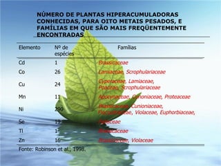 NÚMERO DE PLANTAS HIPERACUMULADORAS CONHECIDAS, PARA OITO METAIS PESADOS, E FAMÍLIAS EM QUE SÃO MAIS FREQÜENTEMENTE ENCONTRADAS  Elemento Nº de  espécies Famílias Cd 1 Brassicaceae Co 26 Lamiaceae ,  Scrophulariaceae Cu 24 Cyperaceae ,  Lamiaceae ,   Poaceae ,  Scrophulariaceae Mn 11 Apocynaceae ,  Cunoniaceae ,  Proteaceae Ni 290 Brassicaceae ,  Cunioniaceae ,    Flacourtiaceae,  Violaceae ,  Euphorbiaceae , Se 19 Fabaceae Tl 1 Brassicaceae Zn 16 Brassicaceae ,  Violaceae Fonte: Robinson et al., 1998. 