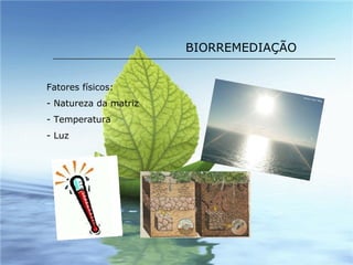 BIORREMEDIAÇÃO Fatores físicos: Natureza da matriz Temperatura Luz 