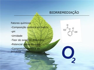 BIORREMEDIAÇÃO Fatores químicos Composição química da matriz pH Umidade Teor de oxigênio dissolvido Potencial redox do meio Composição química do poluente 