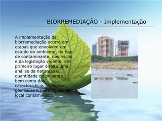 BIORREMEDIAÇÃO - Implementação A implementação da biorremediação ocorre em etapas que envolvem um estudo do ambiente, do tipo de contaminante, dos riscos e da legislação vigente. Em primeiro lugar é feita uma análise da natureza e quantidade do poluente, bem como das características biológicas, geofísicas e hidrológicas do local contaminado. 