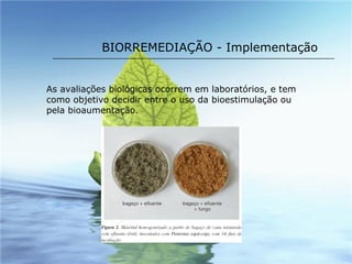 BIORREMEDIAÇÃO - Implementação As avaliações biológicas ocorrem em laboratórios, e tem como objetivo decidir entre o uso da bioestimulação ou pela bioaumentação. 