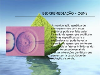 BIORREMEDIAÇÃO - OGMs A manipulação genética de microrganismos com estes objetivos pode ser feita pela inserção de genes que codificam enzimas específicas para a molécula-alvo, pode haver a inserção de genes que conferem resistência a fatores inibidores do ambiente ou pode-se ainda realizar alterações genéticas que aumentem a capacidade de captação da célula. 