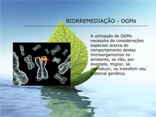 BIORREMEDIAÇÃO - OGMs A utilização de OGMs necessita de considerações especiais acerca do comportamento destes microorganismos no ambiente, se irão, por exemplo, migrar, se reproduzir, ou transferir seu material genético. 