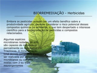 BIORREMEDIAÇÃO - Herbicidas Embora os pesticidas possam ter um efeito benéfico sobre a produtividade agrícola, deve-se considerar o risco potencial desses compostos químicos no ambiente, o que tem despertado o interesse científico para a biodegradação de pesticidas e compostos relacionados. Algumas espécies microbianas isoladas de solo são capazes de metabolizar parcialmente os compostos Triazínicos. A mineralização total desses compostos pode ser realizada por consórcios microbianos ou culturas mistas com 2 ou mais microrganismos 
