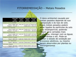 FITORREMEDIAÇÃO – Metais Pesados O dano ambiental causado por metais pesados depende de sua composição e do tipo de solo. Esses metais pesados podem estar ligados às partículas do solo e/ou biodisponível; podendo migrar para camadas mais profundas, interagir com as águas subterrâneas e etc. Pode-se mudar o estado de oxidação por processos abióticos, ou mesmo serem absorvidos por plantas ou microrganismos   