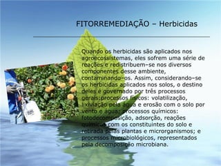 Quando os herbicidas são aplicados nos agroecossistemas, eles sofrem uma série de reações e redistribuem–se nos diversos componentes desse ambiente, contaminando–os. Assim, considerando–se os herbicidas aplicados nos solos, o destino deles é governado por três processos gerais:processos físicos: volatilização, lixiviação pela água e erosão com o solo por vento e água; processos químicos: fotodecomposição, adsorção, reações químicas com os constituintes do solo e retirada pelas plantas e microrganismos; e processos microbiológicos, representados pela decomposição microbiana. FITORREMEDIAÇÃO – Herbicidas 