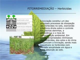 FITORREMEDIAÇÃO – Herbicidas A lixiviação constitui um dos principais processos de dissipação dos herbicidas no solo, exercendo influência direta sobre o controle das plantas daninhas, a persistência e o risco de contaminação ambiental. Em adição, propriedades intrínsecas dos herbicidas, dos solos e do clima influenciam a lixiviação, sendo mais suscetíveis os herbicidas com elevada solubilidade em água e fraca adsorção ao solo.   