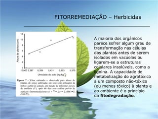 A maioria dos orgânicos parece sofrer algum grau de transformação nas células das plantas antes de serem isolados em vacúolos ou ligarem-se a estruturas celulares insolúveis, como a lignina. A capacidade de metabolização do agrotóxico a um composto não-tóxico (ou menos tóxico) à planta e ao ambiente é o princípio da  fitodegradação . FITORREMEDIAÇÃO – Herbicidas 