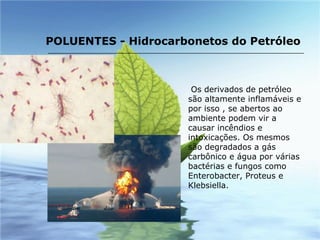 Os derivados de petróleo são altamente inflamáveis e por isso , se abertos ao ambiente podem vir a causar incêndios e intoxicações. Os mesmos são degradados a gás carbônico e água por várias bactérias e fungos como Enterobacter, Proteus e Klebsiella. POLUENTES - Hidrocarbonetos do Petróleo 