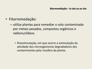 • Fitorremedação:
– utiliza plantas para remediar o solo contaminado
por metais pesados, compostos orgânicos e
radionuclídeos.
• fitoestimulação, em que ocorre a estimulação da
atividade dos microrganismos degradadores dos
contaminantes pela rizosfera da planta:
Biorremediação – In situ ou ex situ
 