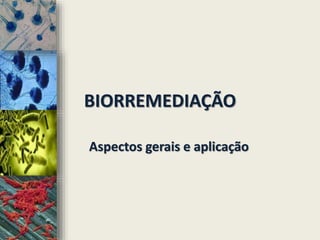 BIORREMEDIAÇÃO
Aspectos gerais e aplicação
 