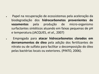 ● Papel na recuperação de ecossistemas pela aceleração da
biodegradação dos hidrocarbonetos provenientes de
vazamentos pela produção de micro-organismo
surfactantes sintéticos atuando em faixas pequenas de pH
e temperatura.(JACQUES, et al., 2007)
● Empregada para atacar hidrocarbonetos clorados em
derramamentos de óleo pela adição dos fertilizantes de
nitrato ou de sulfato para facilitar a decomposição do óleo
pelas bactérias locais ou exteriores. (PINTO, 2006).
 