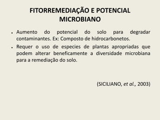 FITORREMEDIAÇÃO E POTENCIAL
MICROBIANO
● Aumento do potencial do solo para degradar
contaminantes. Ex: Composto de hidrocarbonetos.
● Requer o uso de especies de plantas apropriadas que
podem alterar beneficamente a diversidade microbiana
para a remediação do solo.
(SICILIANO, et al., 2003)
 