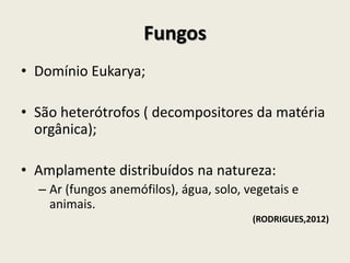Fungos
• Domínio Eukarya;
• São heterótrofos ( decompositores da matéria
orgânica);
• Amplamente distribuídos na natureza:
– Ar (fungos anemófilos), água, solo, vegetais e
animais.
(RODRIGUES,2012)
 