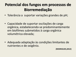 Potencial dos fungos em processos de
Biorremediação
• Tolerância a suportar variações grandes de pH;
• Capacidade de suportar oscilações de carga
orgânica, estabelecendo-se predominantemente
em biofilmes submetidos à carga orgânica
volumétrica elevada;
• Adequada adaptação às condições limitantes de
nutrientes e de oxigênio.
(RODRIGUES,2012)
 