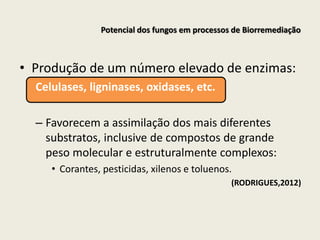 • Produção de um número elevado de enzimas:
Celulases, ligninases, oxidases, etc.
– Favorecem a assimilação dos mais diferentes
substratos, inclusive de compostos de grande
peso molecular e estruturalmente complexos:
• Corantes, pesticidas, xilenos e toluenos.
(RODRIGUES,2012)
Potencial dos fungos em processos de Biorremediação
 