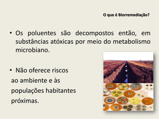 • Os poluentes são decompostos então, em
substâncias atóxicas por meio do metabolismo
microbiano.
• Não oferece riscos
ao ambiente e às
populações habitantes
próximas.
O que é Biorremediação?
 