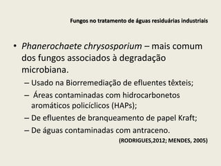 Fungos no tratamento de águas residuárias industriais
• Phanerochaete chrysosporium – mais comum
dos fungos associados à degradação
microbiana.
– Usado na Biorremediação de efluentes têxteis;
– Áreas contaminadas com hidrocarbonetos
aromáticos policíclicos (HAPs);
– De efluentes de branqueamento de papel Kraft;
– De águas contaminadas com antraceno.
(RODRIGUES,2012; MENDES, 2005)
 