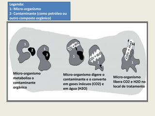 Legenda:
1- Micro-organismo
2- Contaminante (como petróleo ou
outro composto orgânico)
1
12
2 1
1 1
2
Micro-organismo
metaboliza o
contaminante
orgânico
Micro-organismo digere o
contaminante e o converte
em gases inócuos (CO2) e
em água (H2O)
Micro-organismo
libera CO2 e H2O no
local de tratamento
 