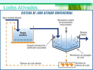 Lodos Ativados
 