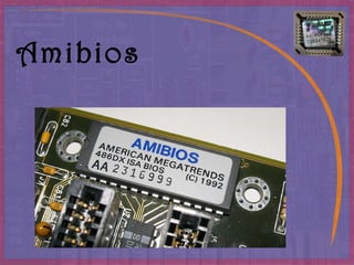 Amibios 