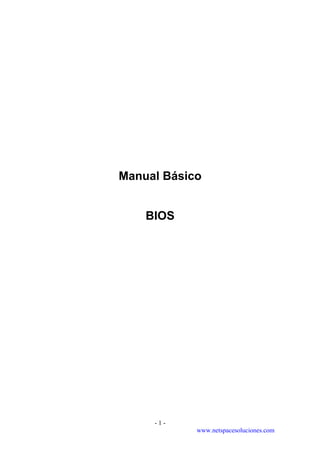 Manual Básico


    BIOS




     -1-
            www.netspacesoluciones.com
 