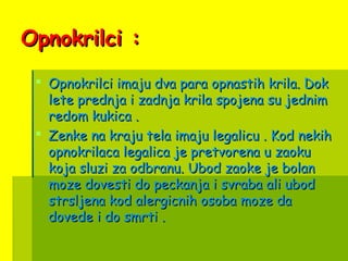 Opnokrilci :Opnokrilci :
 Opnokrilci imaju dva para opnastih krila. DokOpnokrilci imaju dva para opnastih krila. Dok
lete prednja i zadnja krila spojena su jednimlete prednja i zadnja krila spojena su jednim
redom kukica .redom kukica .
 Zenke na kraju tela imaju legalicu . Kod nekihZenke na kraju tela imaju legalicu . Kod nekih
opnokrilaca legalica je pretvorena u zaokuopnokrilaca legalica je pretvorena u zaoku
koja sluzi za odbranu. Ubod zaoke je bolankoja sluzi za odbranu. Ubod zaoke je bolan
moze dovesti do peckanja i svraba ali ubodmoze dovesti do peckanja i svraba ali ubod
strsljena kod alergicnih osoba moze dastrsljena kod alergicnih osoba moze da
dovede i do smrti .dovede i do smrti .
 