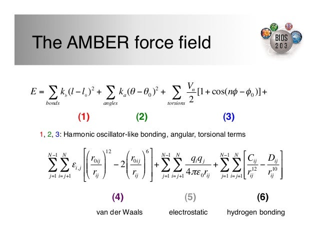 Amber Force Field Equation _ The Amber Force Fields – YAXN