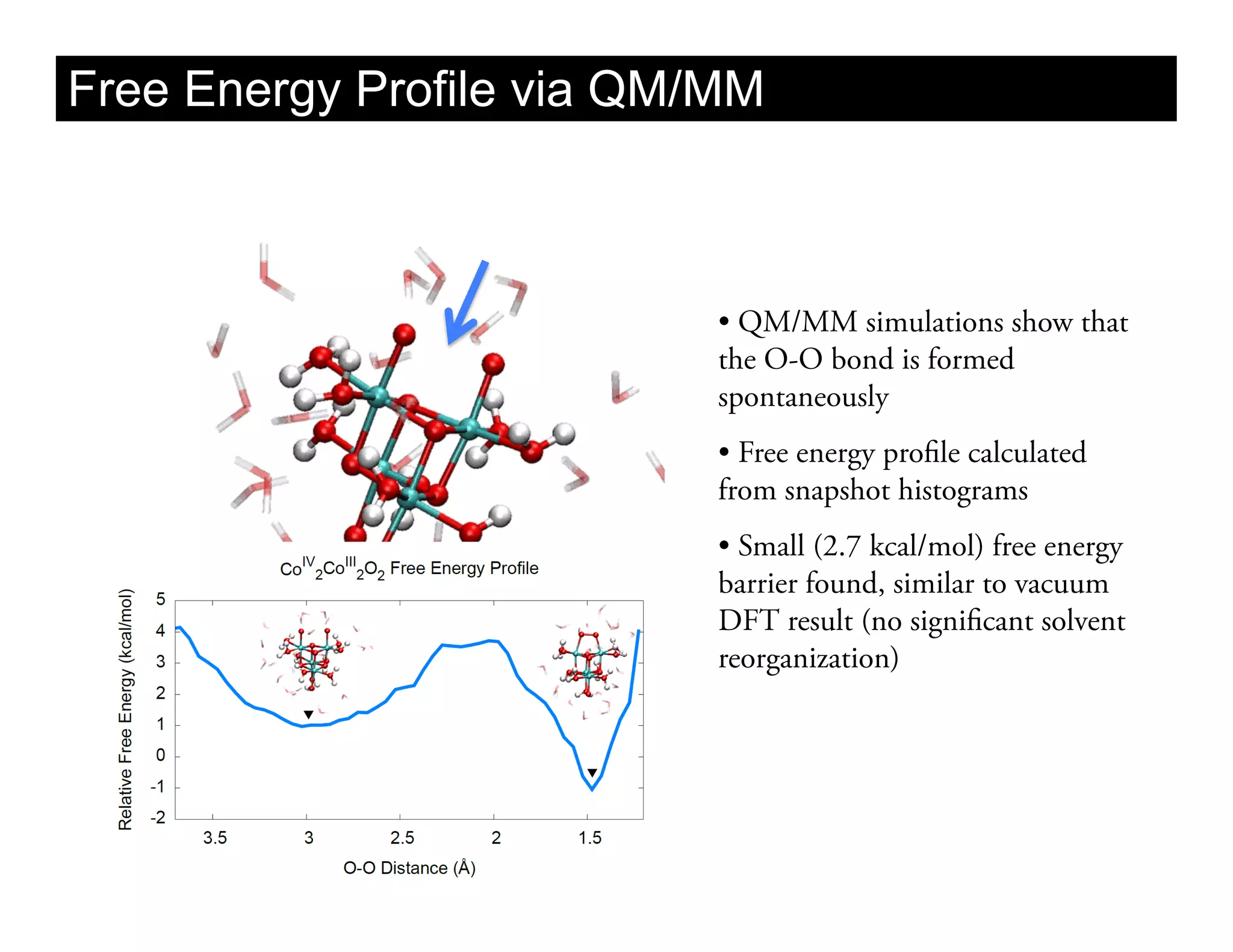 Free Energy Profile via QM/MM



                           •  QM/MM simulations show that
                           the O-O bond is formed
                           spontaneously
                           •  Free energy profile calculated
                           from snapshot histograms
                           •  Small (2.7 kcal/mol) free energy
                           barrier found, similar to vacuum
                           DFT result (no significant solvent
                           reorganization)
 