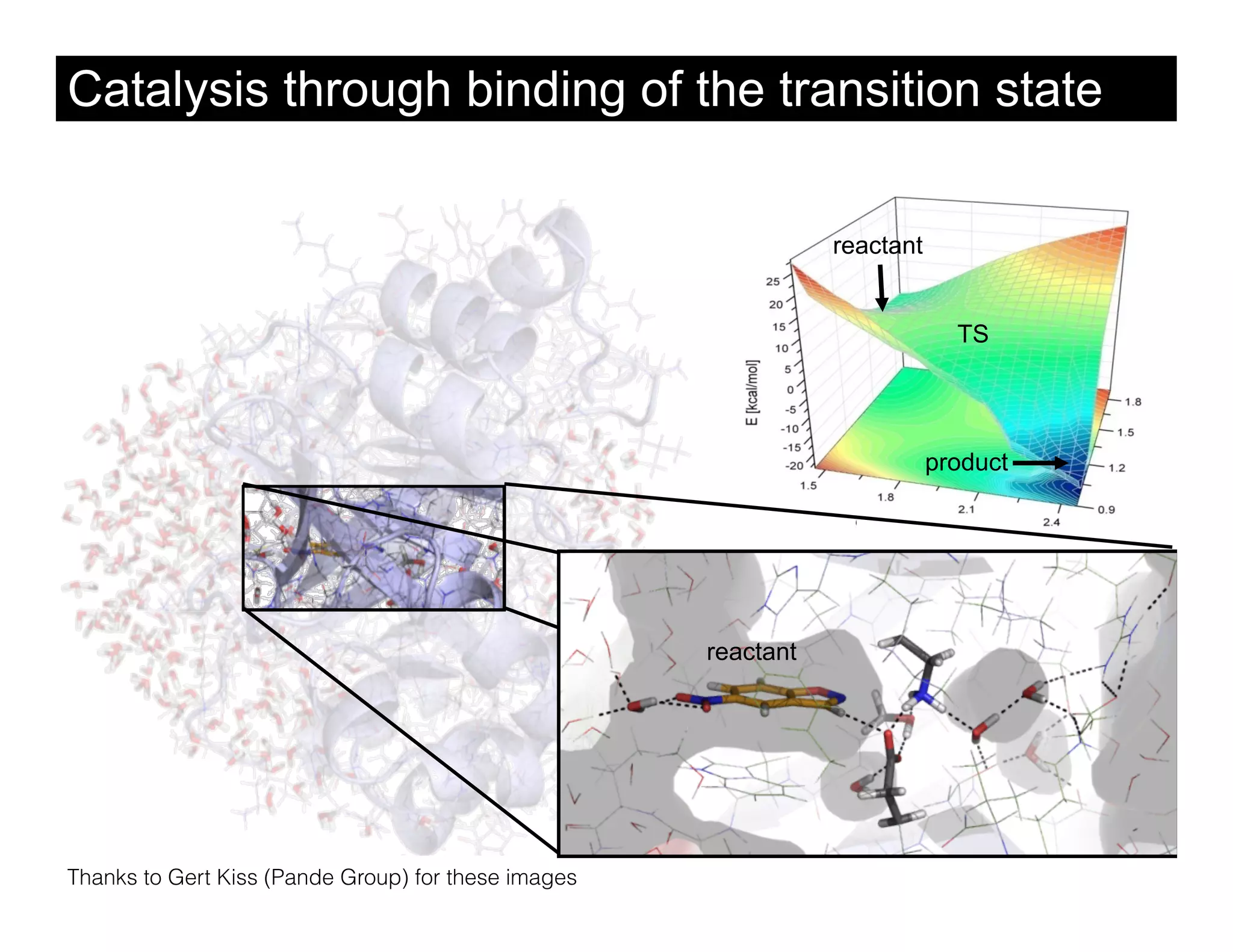 Catalysis through binding of the transition state

                                                                reactant


                                                                             TS




                                                                           product




                                                     reactant




Thanks to Gert Kiss (Pande Group) for these images
 