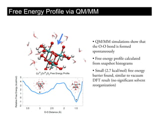 Free Energy Profile via QM/MM



                           •  QM/MM simulations show that
                           the O-O bond is formed
                           spontaneously
                           •  Free energy profile calculated
                           from snapshot histograms
                           •  Small (2.7 kcal/mol) free energy
                           barrier found, similar to vacuum
                           DFT result (no significant solvent
                           reorganization)
 