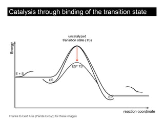 Catalysis through binding of the transition state


                                           uncatalyzed
                                       transition state (TS)
Energy




                                              ES# TS

         E+S
                             ES




                                                               EP



                                                                    reaction coordinate
Thanks to Gert Kiss (Pande Group) for these images
 