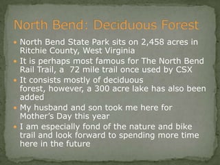 Bios 275:Elizabeth Knight:Isgrigg