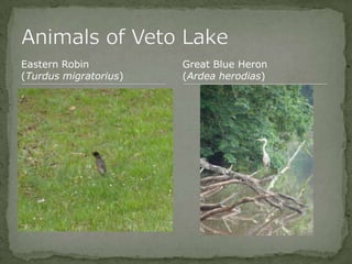 Bios 275:Elizabeth Knight:Isgrigg