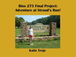 Bios 275 Final Project: Adventure at Stroud’s Run! Katie Trejo 