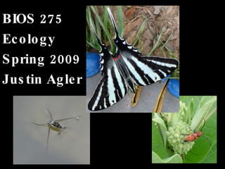 BIOS 275 Ecology Spring 2009 Justin Agler 