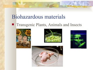 Biohazardous materials Transgenic Plants, Animals and Insects                                                     