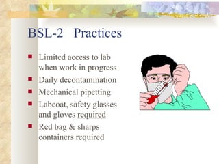 BSL-2  Practices Limited access to lab when work in progress Daily decontamination Mechanical pipetting Labcoat, safety glasses and gloves  required Red bag & sharps containers required 